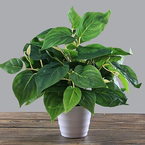 Amazon オウゴンカズラ 植物 造花 枯れない花 人工観葉植物 鉢植え 壁飾り 壁掛け花 花束 ブーケ シルクフラワー 装飾 本物そっくり インテリア 撮影用 飾り物 プレゼント ホームセンター リビングルーム 玄関 造園 造花 オンライン通販