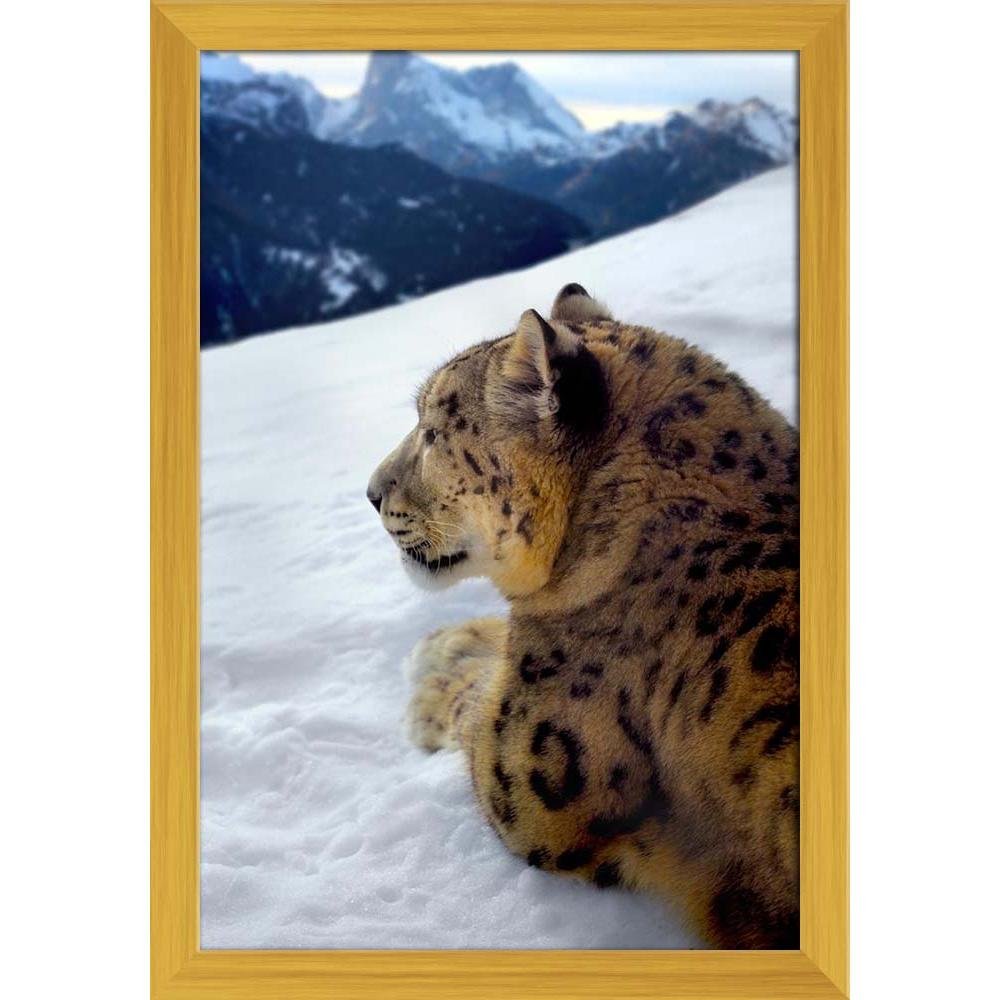 Photo Leopard Canvas sknow mountain