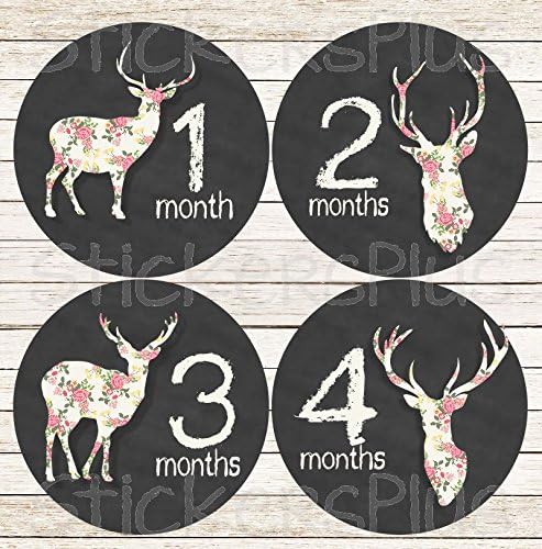 Baby Girl Month Stickers Monthly Baby Milestone Stickers Vintage Rose Floral Woodland Deer Antler Silhouette Chalkboard Chalk Board