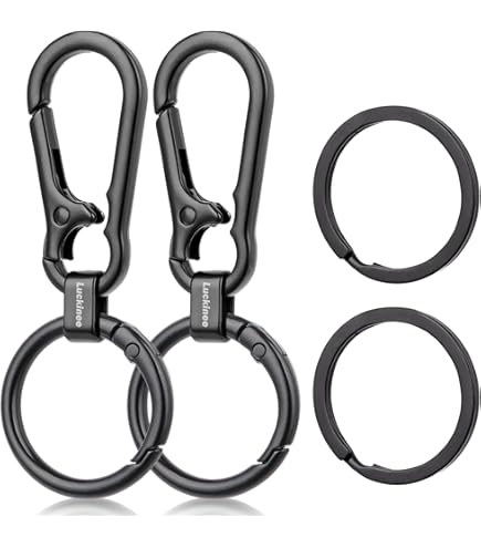 Amazon.com: 4Pack Small Carabiner Keychain, Spring Keyring Holder