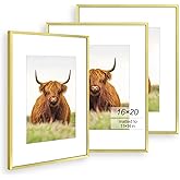 Golden State Art, 16x20 Picture Frame Set of 3, Gold Thin Border, Display Photo 11x14 with Mat or 16x20 Without Mat, Poster Frame for Wall Hanging Horizontal and Vertical