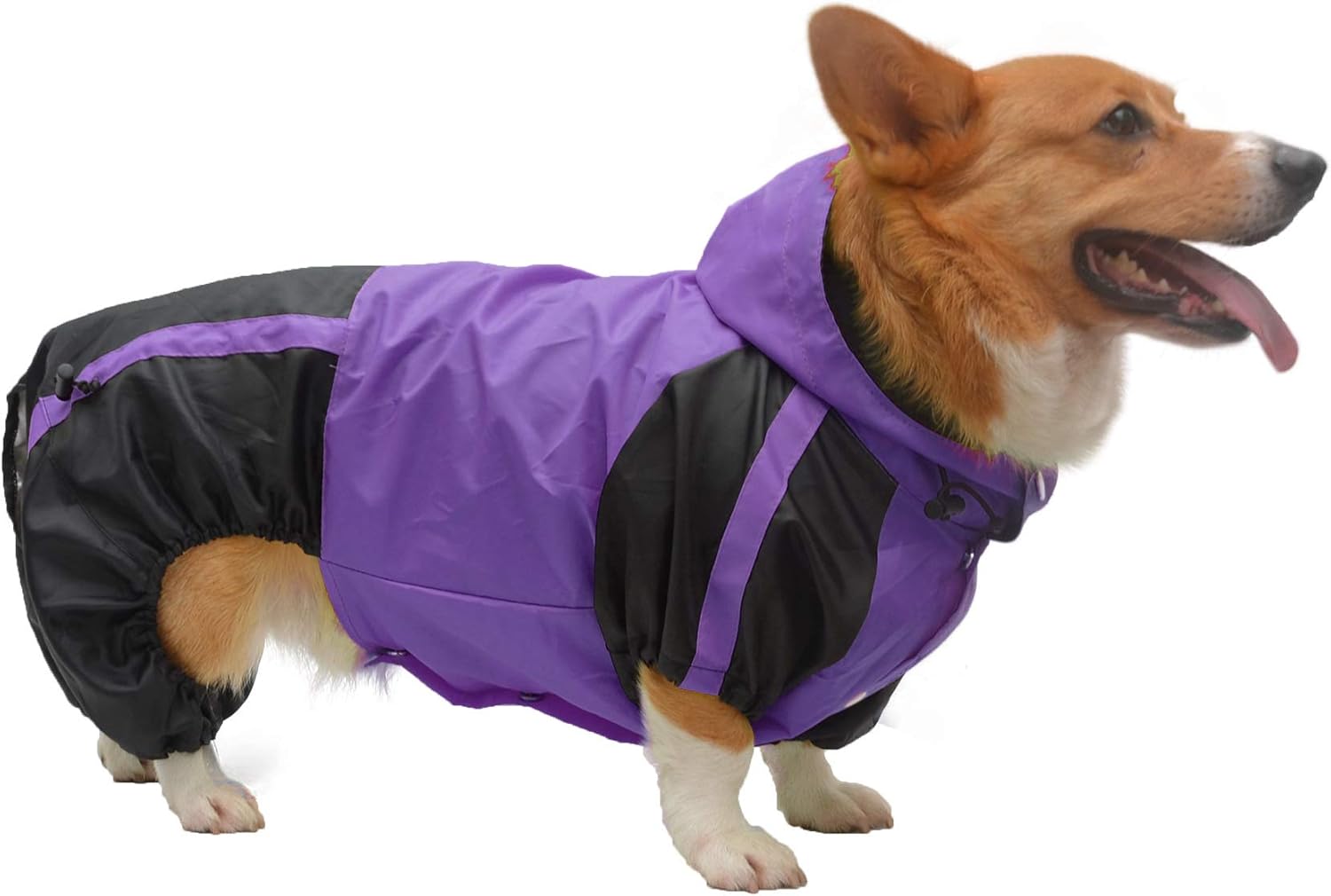lovelonglong Welsh Dog Hooded Raincoat, Dachshund Rain Jacket