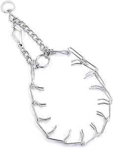 pet champion control collar