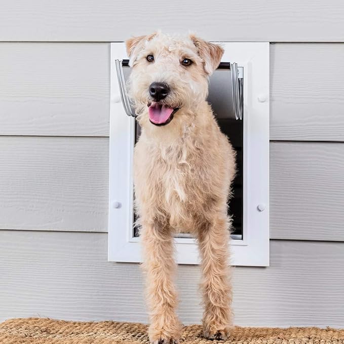 petsafe through wall dog door