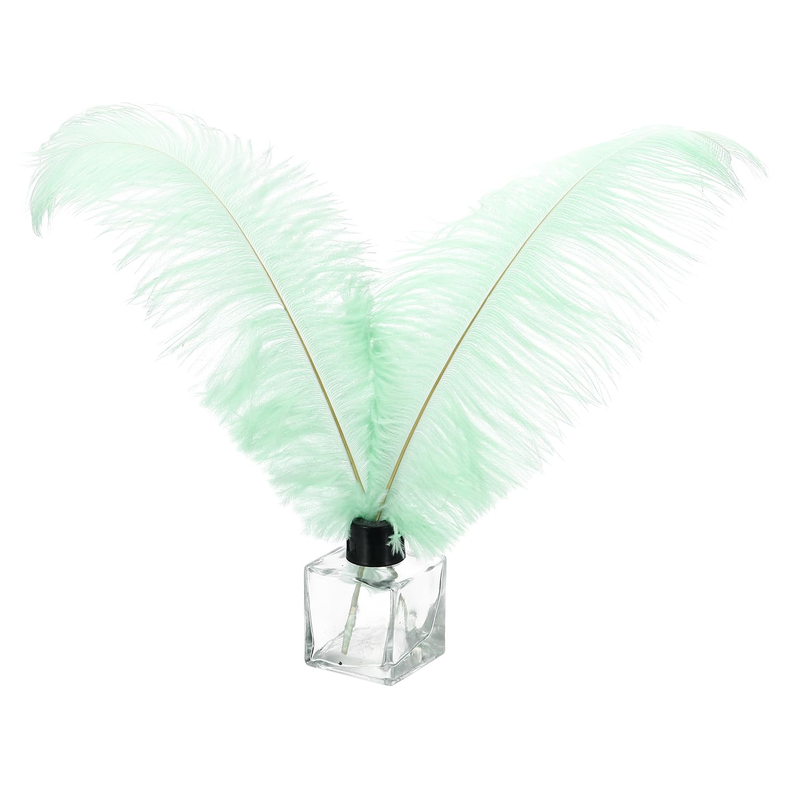 PATIKIL 30 Pcs Natural Ostrich Feathers Bulk 12-14 Inch/ 30-35 cm Large Ostrich Feathers for Crafts Home Decoration Wedding Party Vase Decor (Mint Green)