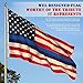 Blue Lives Matter USA American Police Flags- Honor Law Enforcement Officers (Leo) -Non-Fade Polyester with Grommets - Visible Stars and Striking Colors - for Flag Poles/Indoors/Outdoor Lawns (3x5)