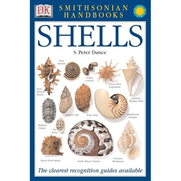 The Encyclopedia of Shells: Wye, Kenneth R.: 9780816027026: Amazon