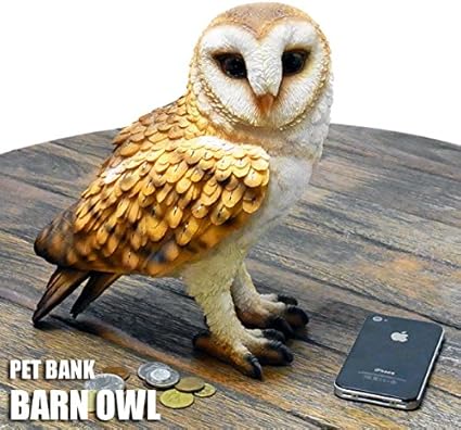 Amazon Com Pet Bank Owl Pet Bank Oulu Barn Owl Barn Owl 1098