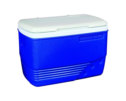 ice box 30 litre