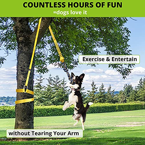 Dog Hanging Bungee Tug Toy Interactive Tether TugofWar for Pitbull