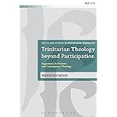 Trinitarian Theology beyond Participation: Augustine's De Trinitate and Contemporary Theology (T&T Clark Studies in Systematic Theology, 11)