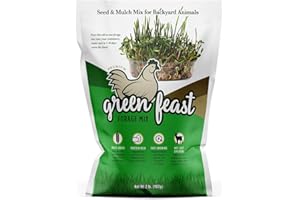 Amturf Green Feast Forage Mix, Brown,2 Lb Bag, 36018S