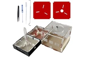 Ants Footsteps Ant Farm Nest Science DIY Terrarium Kit Care for Live Ants Ant Habitat with Water Tower Nurturing Room and Com