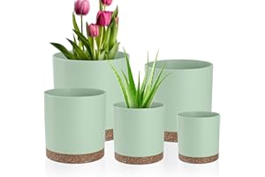 QRRICA Plant Pots – 7/6.5/6/5/4 Inch Plastic Planters with Drainage Holes and Saucers, Flower Pots for Indoor and Outdoor Plants (Green)