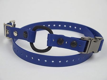 bungee collar for e collar