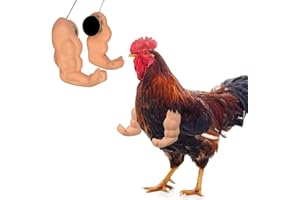 HKYLRAT Chicken arms Including Strong Muscle arms and Thumb up arms to Put on Chicks for Parties, Photoshoots and Pranks (Mus
