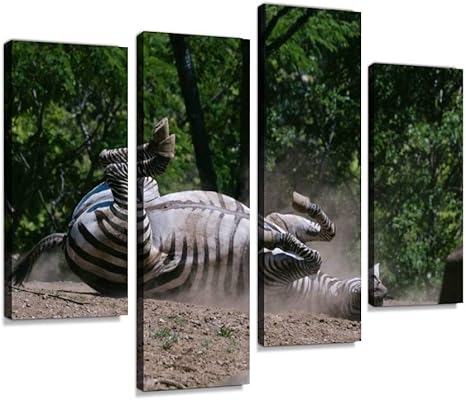 Amazon Co Jp アートパネル 駄々をこねるシマウマシマウマ ズコー 動物園 寝転ぶ 暴れる 砂浴び 馬 駄々インテリア 絵画 壁掛け ポスター キャンバス 部屋飾り アート 壁キャンバス 壁飾り 壁キャンバス絵画 おしゃれ 北欧 新築飾り お祝い 贈り物 ホーム キッチン