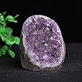 FZBHRO Natural Amethyst Cluster Geode Large Healing Crystal Stone Collection Mineral Specimen Home Office Decor Meditation Gifts 0.8-1.3 Pound