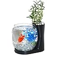 Elive Betta Fish Bowl / Betta Fish Tank with Planter, Small 0.75 Gallon Aquarium, LED Light Timer, Black