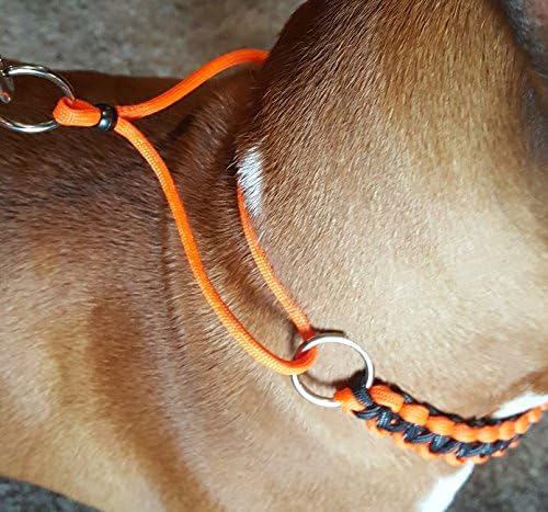 paracord martingale collar