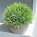 VANGOLD Lifelike Artificial Plants Plastic Grass Plants with Pots for Home/Office Decor (Green-1pcs)