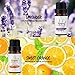 Skymore Essential Oil Gift Set, Top 6 Pure Therapeutic Grade Essential Oil Set, Natural Essential Oils for Aromatherapy Humidifiers Use, 6/10mL-Lavender, Sweet orange, Peppermint, Lemongrass, Tea tree, Eucalyptus