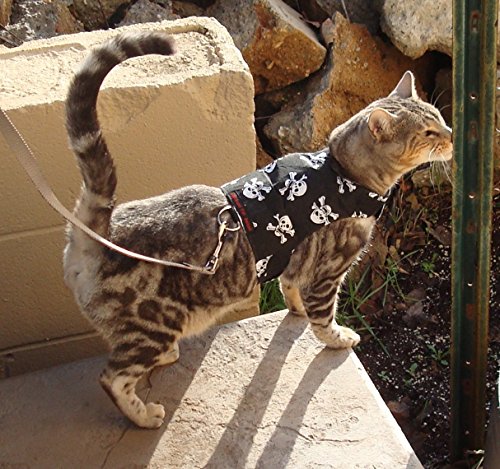 Mynwood Cat Jacket/Harness Skulls Kitten up to 8month