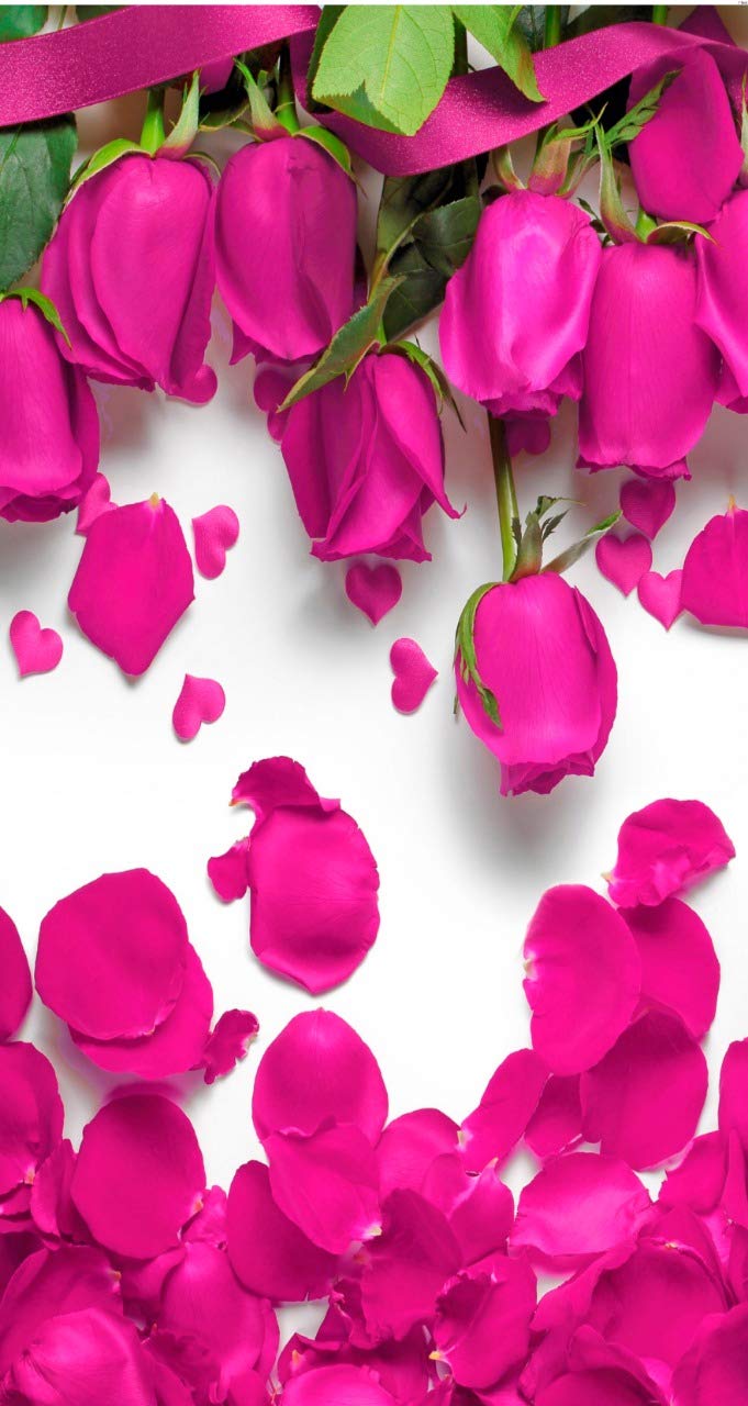 Buy Gs Fashion Digital Print Curtain 9 Feet Rose Petals Pink