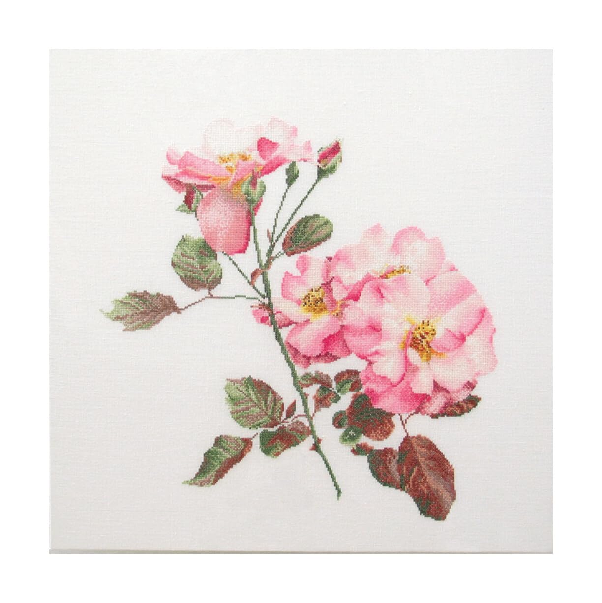 Thea Gouverneur Rosa Leersum On Aida Counted Cross Stitch Kit-17.5-inch x 17.5-inch 18 Count