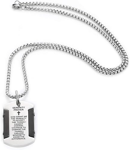 Amazon レッドダイス メンズネックレス ネックレス ペンダント 人気 男性用 チェーン チェーンネックレス シルバーネックレス 英字プレート 銀 ネックレス 通販