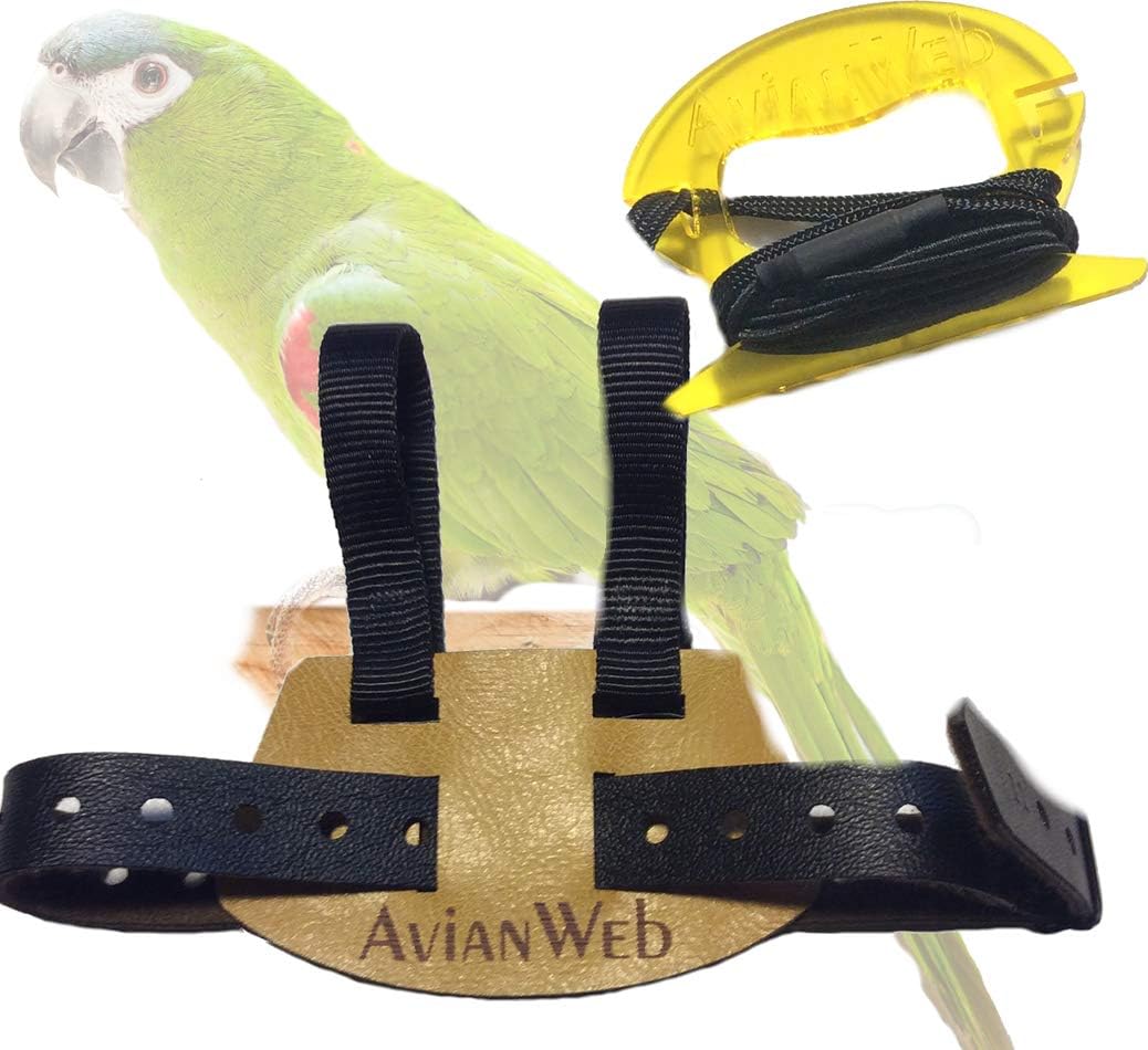 avianweb ez bird harness with leash