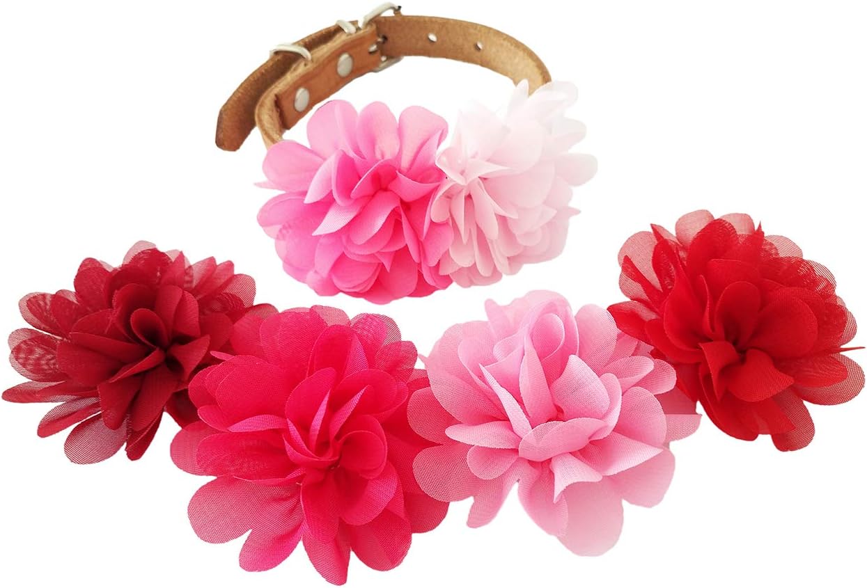 JpGdn 6pcs Dog Collar Charms Slide Attachment Accessories for Small Medium Female Girls Dogs Cat Puppy Flower Bows Grooming Decoration Embellishment in 6 Color