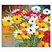 Egoshop Ribbon Embroidery Kit Oil Painting Bouquet DIY Wall Decor Stamp Embroidery kit No Frame Oil Painting Bouquet