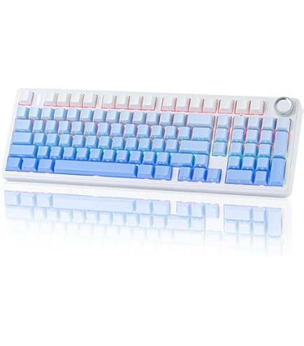 Genuine Wooting 60HE Two He Keycaps Key Cap, Full Size