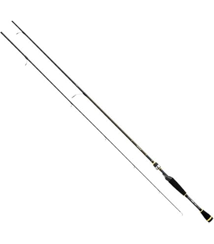 Amazon.com : Daiwa 0001-4046 AIRX662MFS Aird-X 6'6