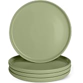 Amazon Basics Glazed Stoneware Dinner Plates, Ceramic 4-Piece Set, Microwave, Dishwasher and Freezer-Safe, 10.5 in., Olive
