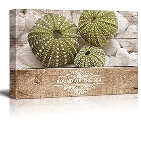 Marine Theme Canvas Wall Art - Beautiful Sea Urchin - Giclee Print Modern Wall Art | Stretched Gallery Wrap Ready to Hang Home Decoration - 12x18 inches