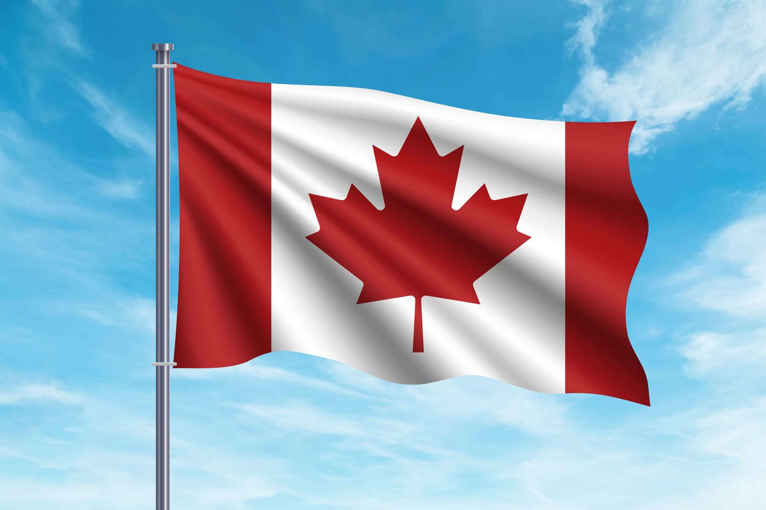 OEDIM Canada Flag, 150 x 85 cm, Reinforced and Stitched, Flag with 2 Metal Eyelets and Waterproof