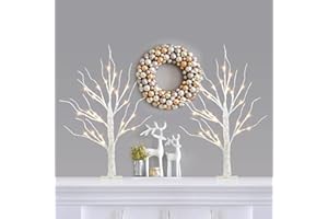 PABIPABI Christmas Decorations 2 Pack Lighted Birch Tree, Artificial Tree with 24 LED Warm White Lights Battery Powered Timer Room Decor, Tabletop Ceterpieces Trees for Home Party Wedding Decor (2FT)