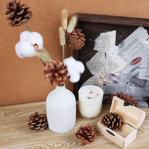 JOHOUSE 24PCS Big PineCones, Natural PineCones Package, PineCones Ornaments for Autumn and Winter Crafts Decorating, Christmas Decor, Bowl Vase Fillers