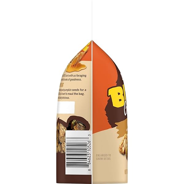 BEAR NAKED CRUNCHY GRANOLA BITES, BREAKFAST SNACKS, HONEY OAT, 6.2OZ BAG (1 BAG)