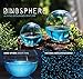 DinoSphere Aquarium Treatment Dino Nutrients