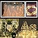 Ucharge Dimmable Led String Lights, 100 LEDs Twinkle 33ft Copper Wire Lights USB Indoor Outdoor, Christmas Decorative Lights Seasonal Holiday.(Warm White)