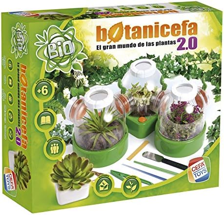 Cefa Toys - Juego Educativo Botanicefa (21754): Amazon.es ...