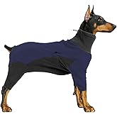 Pinellia Dog Winter Coat - Warm Fleece Jacket, Windproof Pullover Jumpsuit, Fullbody Pajamas Onesie for Medium Large Dogs (Large, Blue)