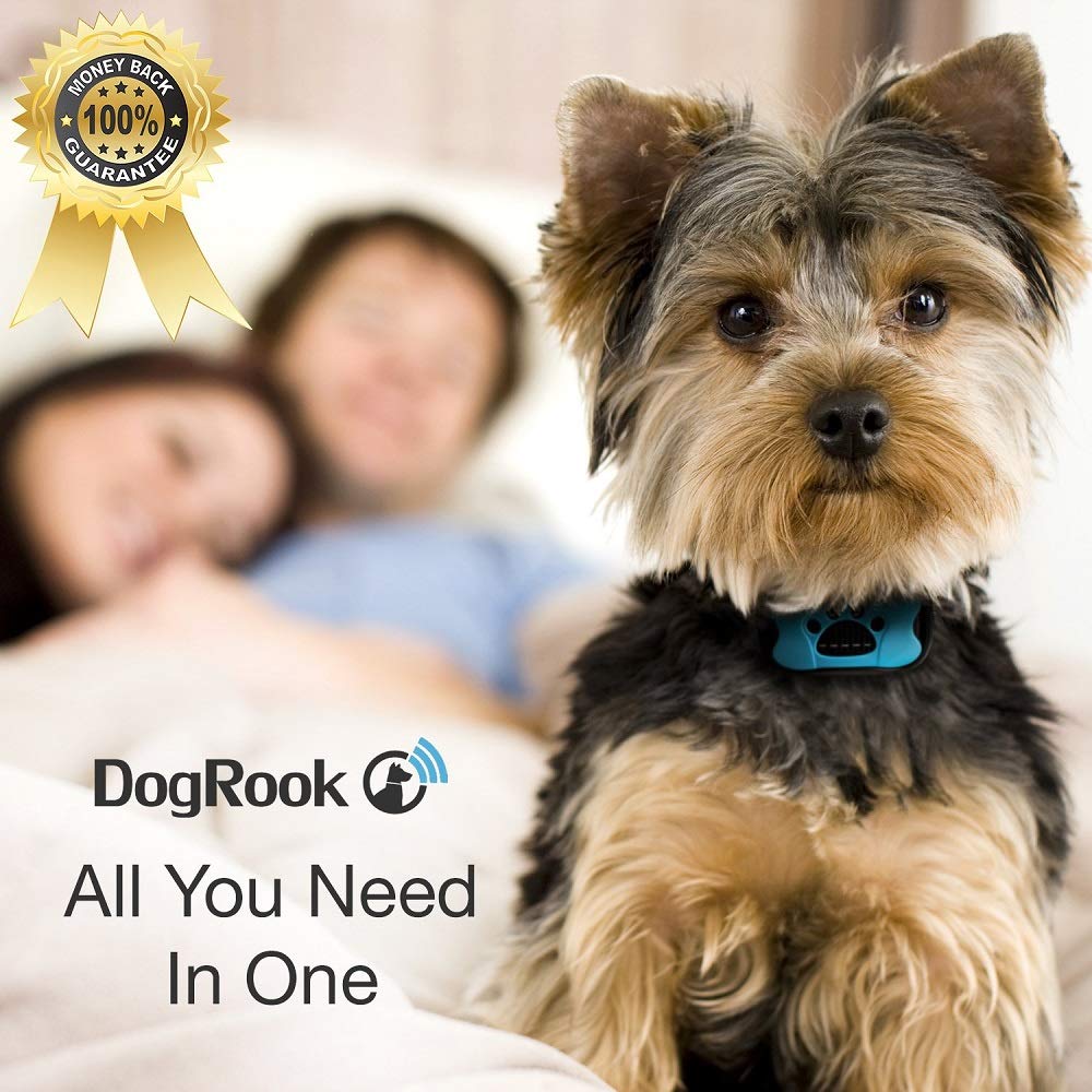best no shock dog bark collar