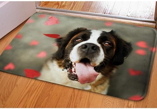 dog foot cleaning mat