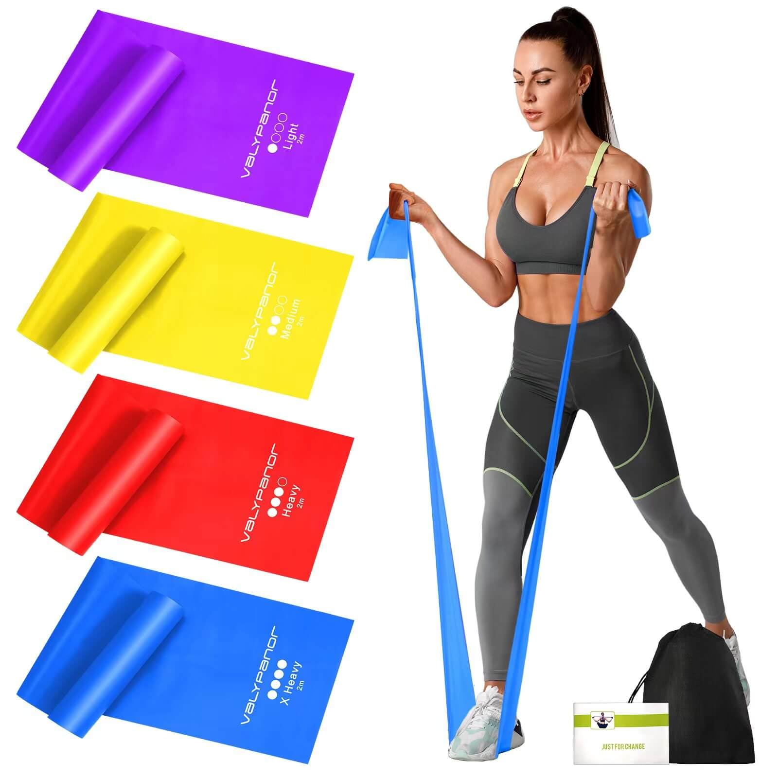 VALYPANOR Resistance Bands Exercise Band 2m Fitness Bands with 4 Resistance Levels for Yoga, Pilates, Crossfit, Muscle Building, Physiotherapy with Carry Bag & Exercise Instructions