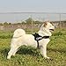 PYRUS Dog Harness, K8 No Pull Harness Dog Leash Padded Pet Walking Harness Heavy Duty for Dogs (XL)