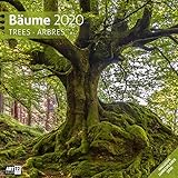 Bäume 2020 Broschürenkalender by 